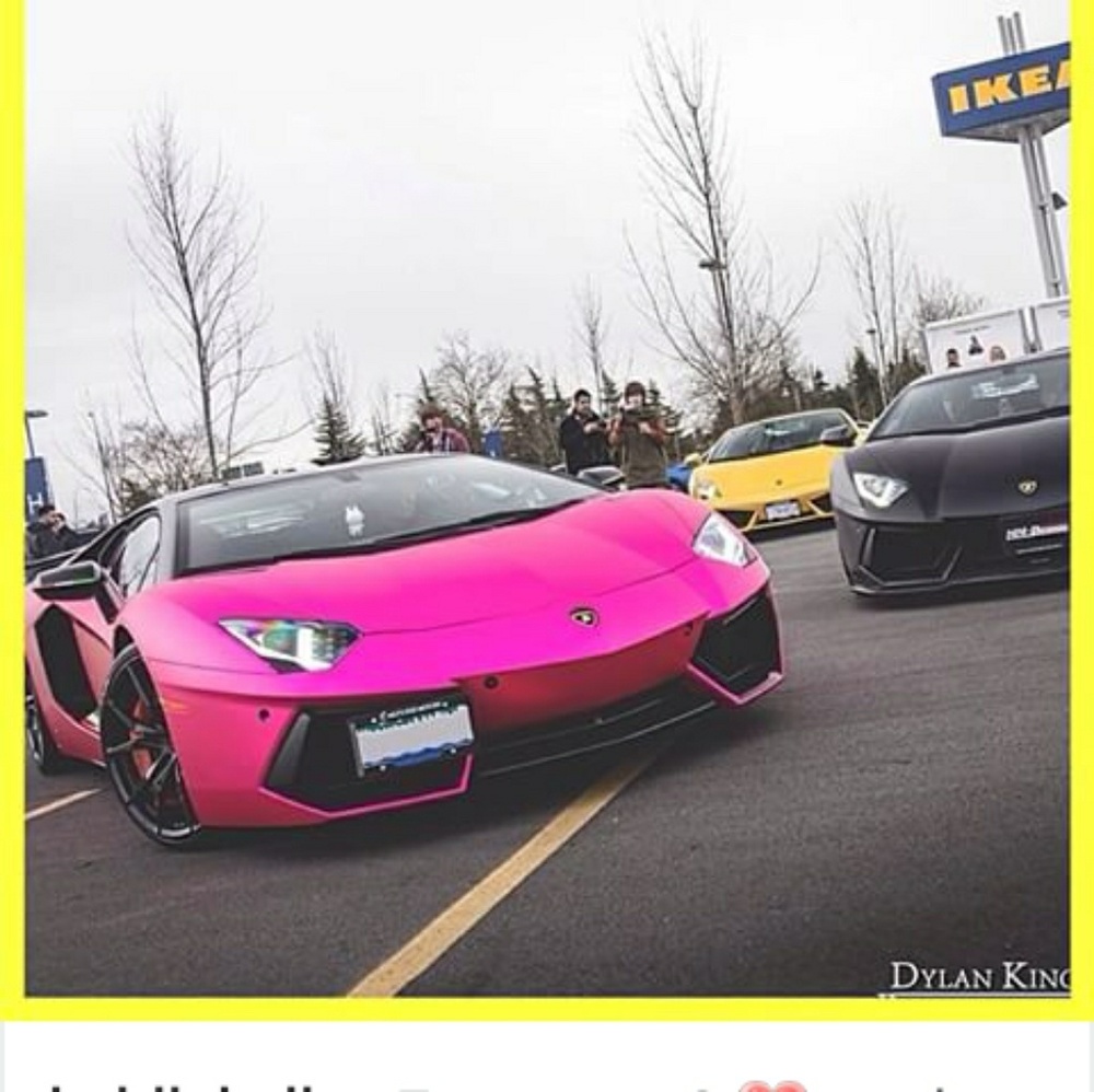 Meet your Posher, Annie